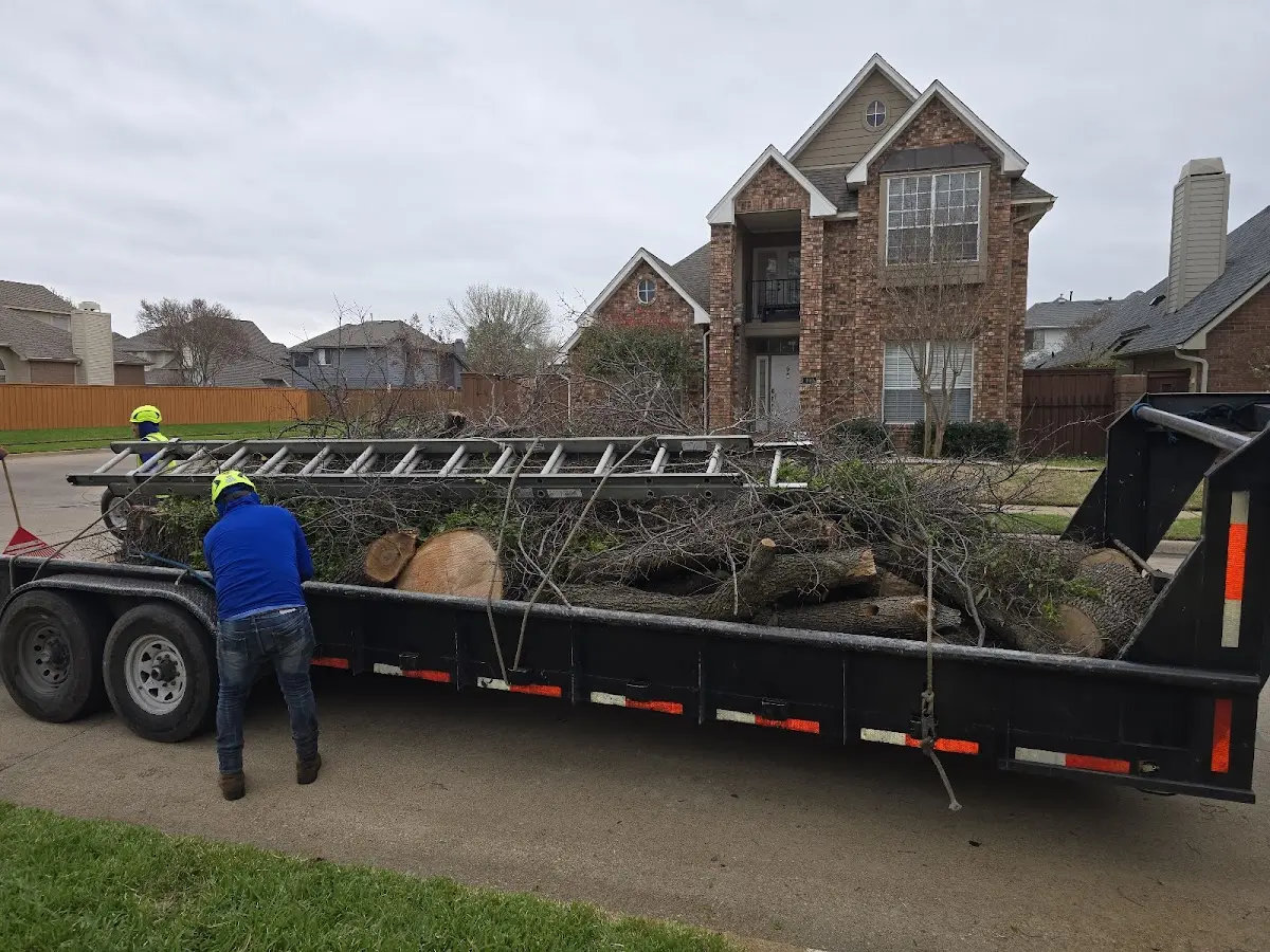 Expert Tree Pest Control with proper safety equipment in Winnetoon